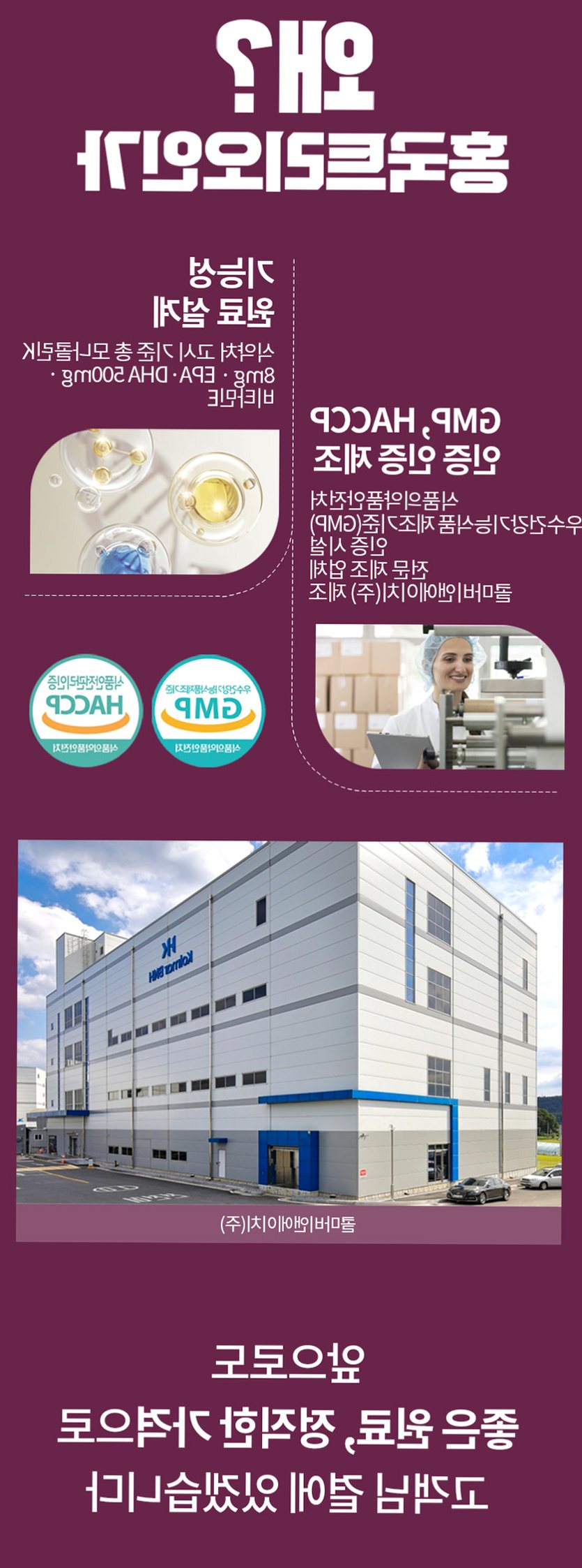 홍국트리오 메가 중성지방 콜레스테롤 낮추는 HDL LDL 홍국영양제 60정, 1개